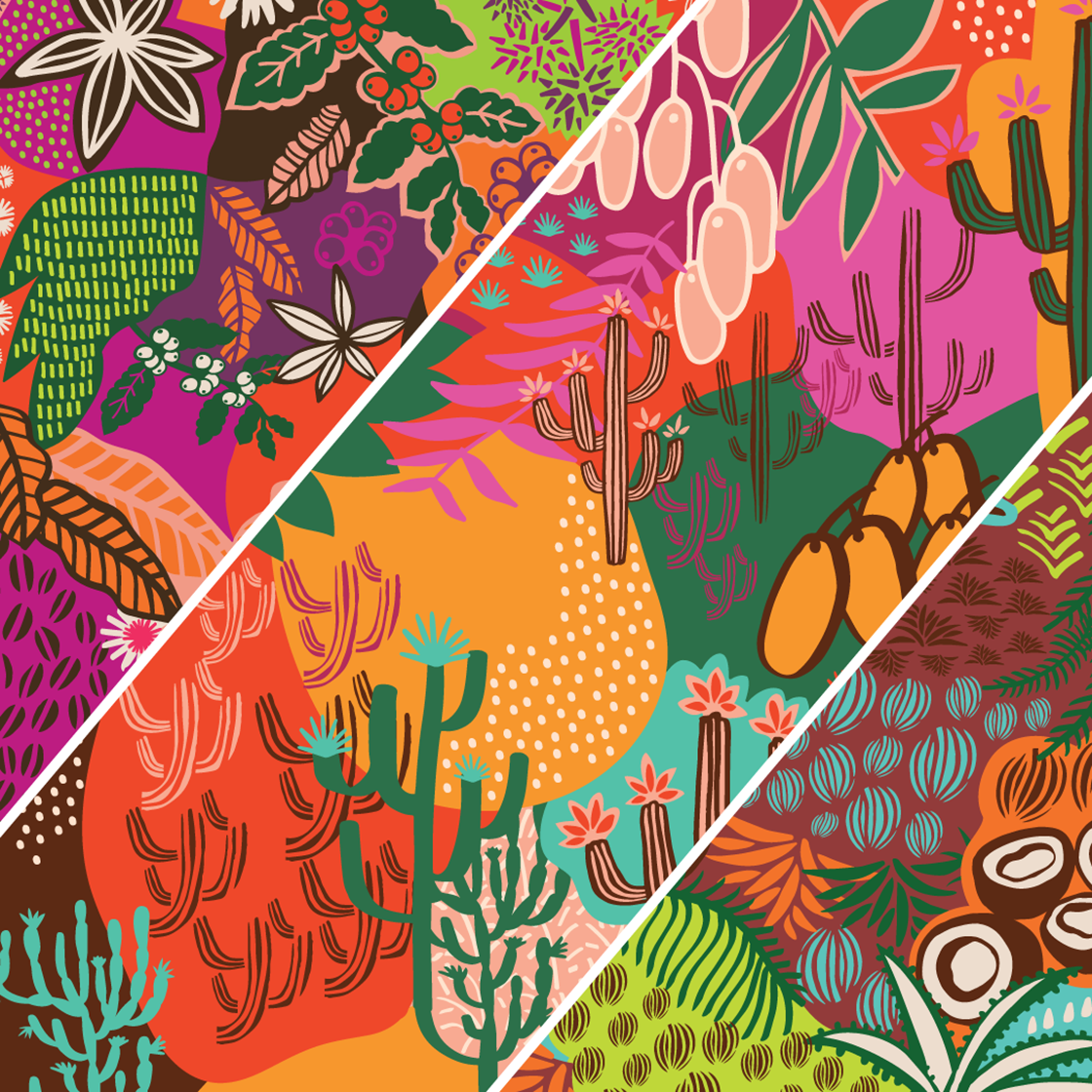 Jóias do Sertão | SEDA Unilever